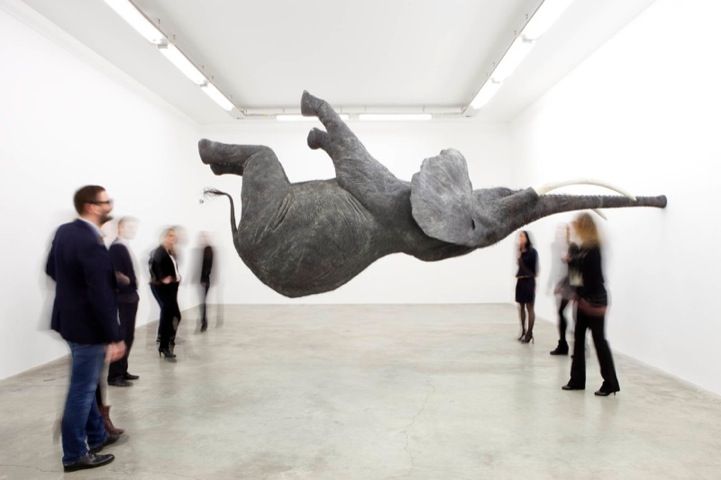 Daniel Firman’s gravity-defying elephants