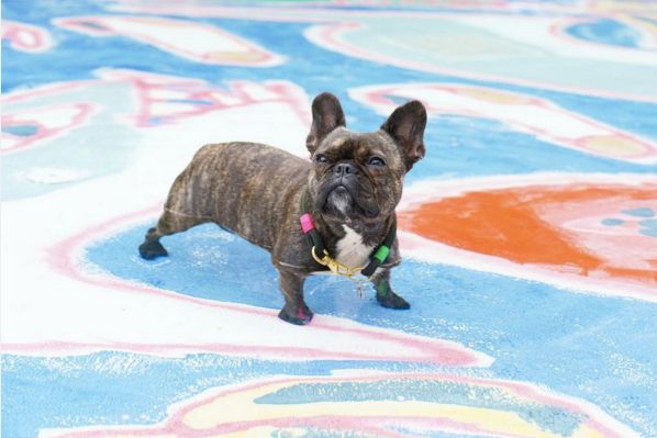Exploring Art Basel Miami Through Instagram