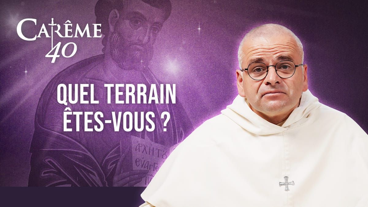 🌱 Quel terrain êtes-vous ?