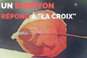 Un embryon répond à "La Croix"