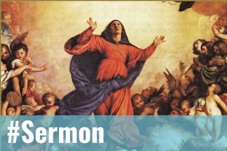 Quand Marie nous fait voir la gloire de son Fils - Sermon pour l'Assomption