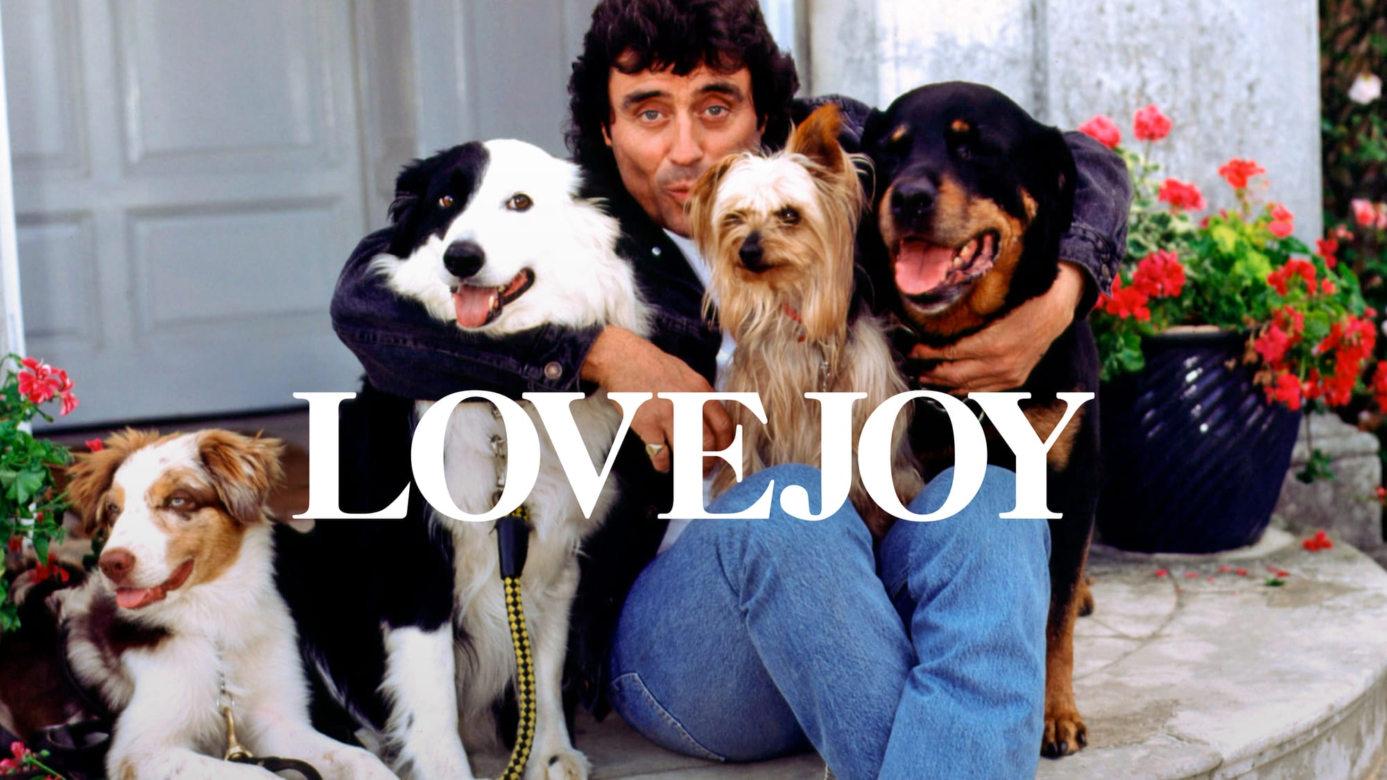 Ian McShane and doggy friends.