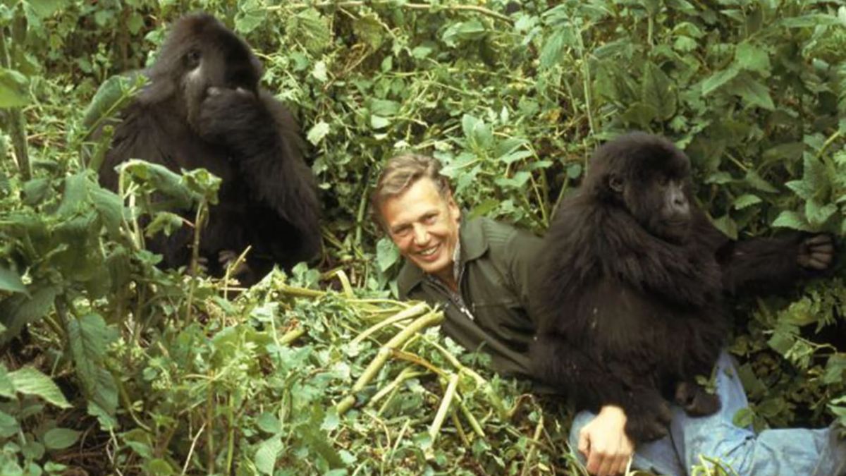 Making 'Life on Earth': Attenborough's Greatest Achievement