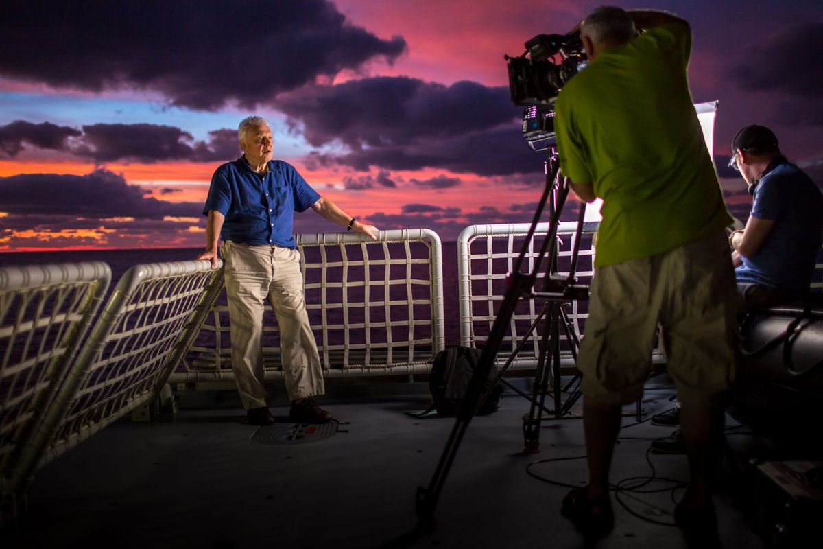 PBS's 'Nature' Turns the Camera on "Attenborough's Life Journey"