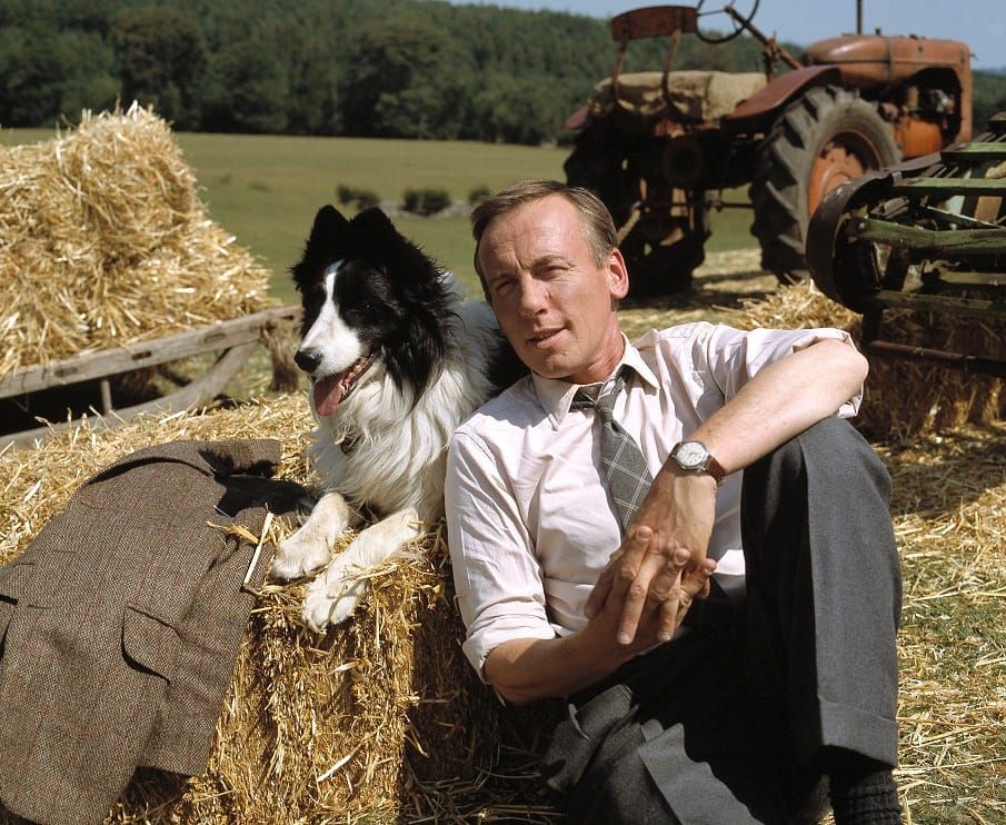 A New Adaptation of 'All Creatures Great and Small' is Coming to PBS
