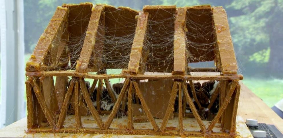 Know Your GBBS History: Biscuit Week