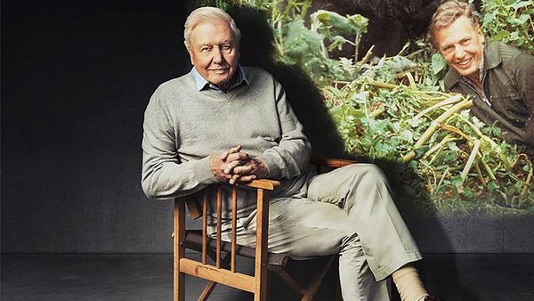 Life on Earth: Attenborough’s Greatest Adventure Key Art 