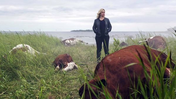 Where To Start With Walter's Choice/Walter Presents