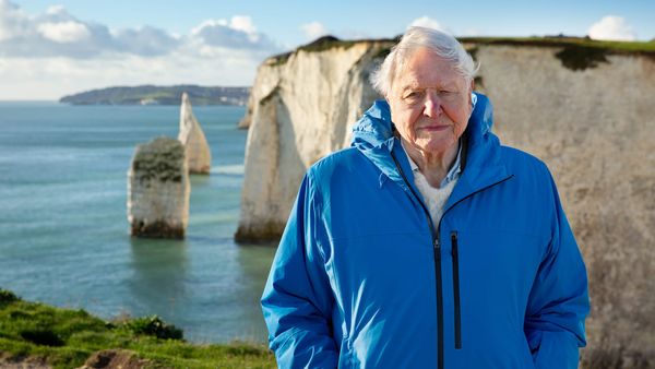 The 'Ocean with David Attenborough' Trailer Sees The Naturalist Unleashed