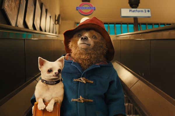 The World's Best Franchise, 'Paddington,' Will Get A New Installment