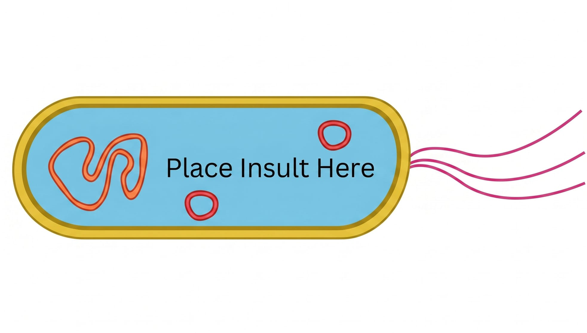 The Absolutely Despicable Ad Hominem Attack