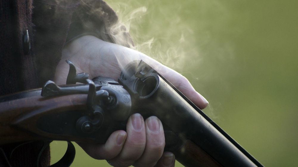 Firearms and nudity detection on Twitter and Instagram