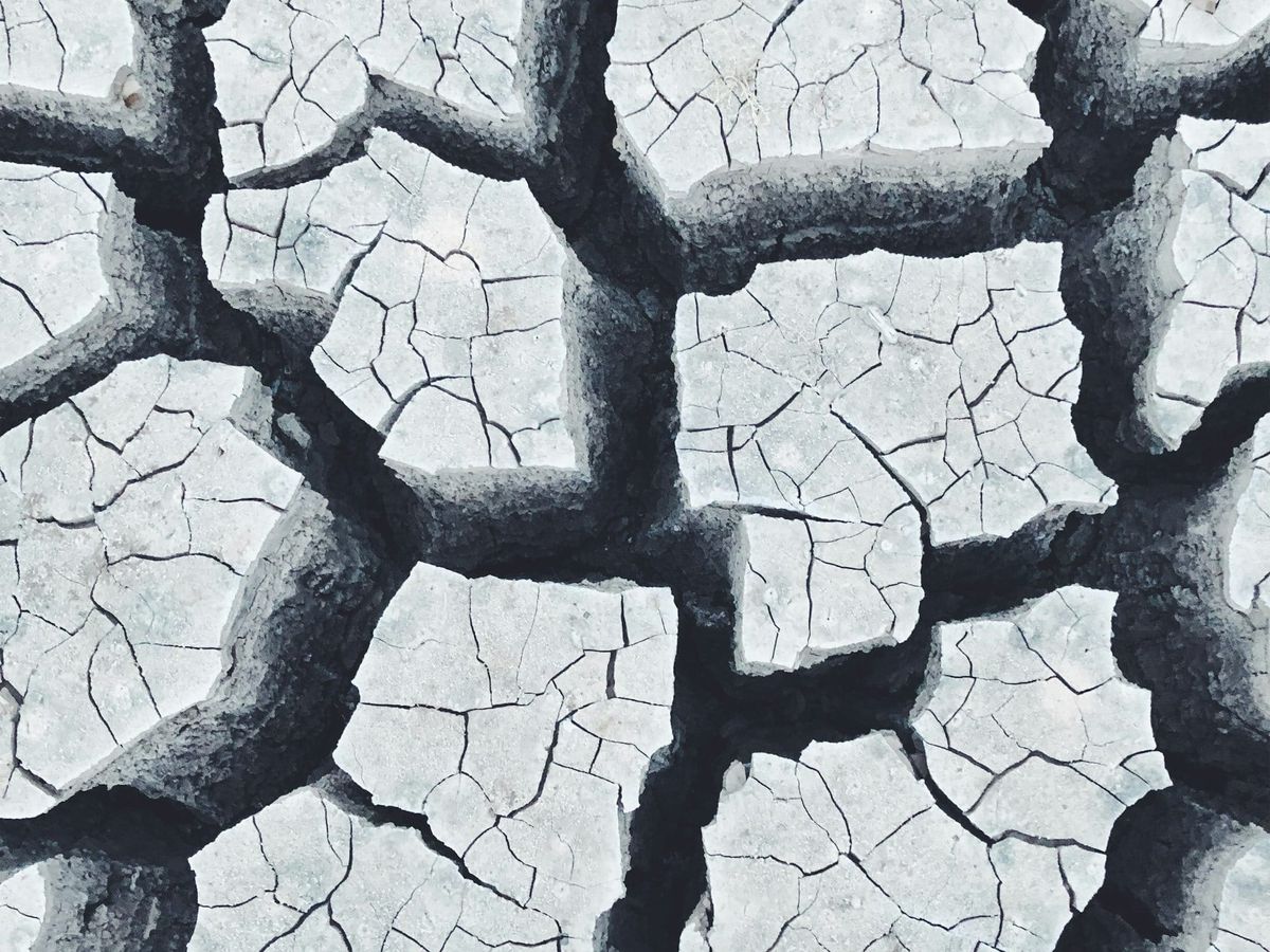 Cranium AI on secutity exploitation 