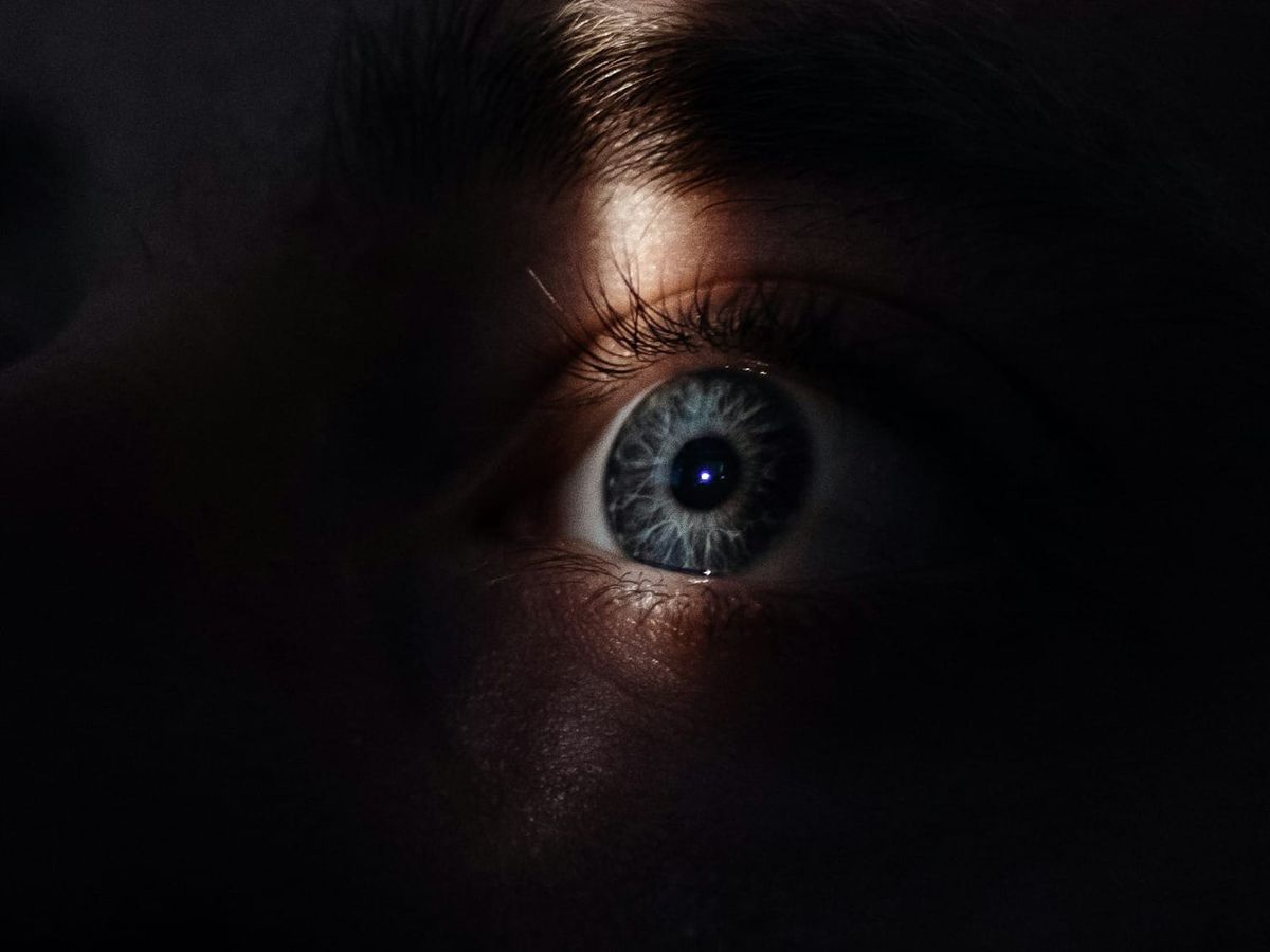 European Commission X investigation 