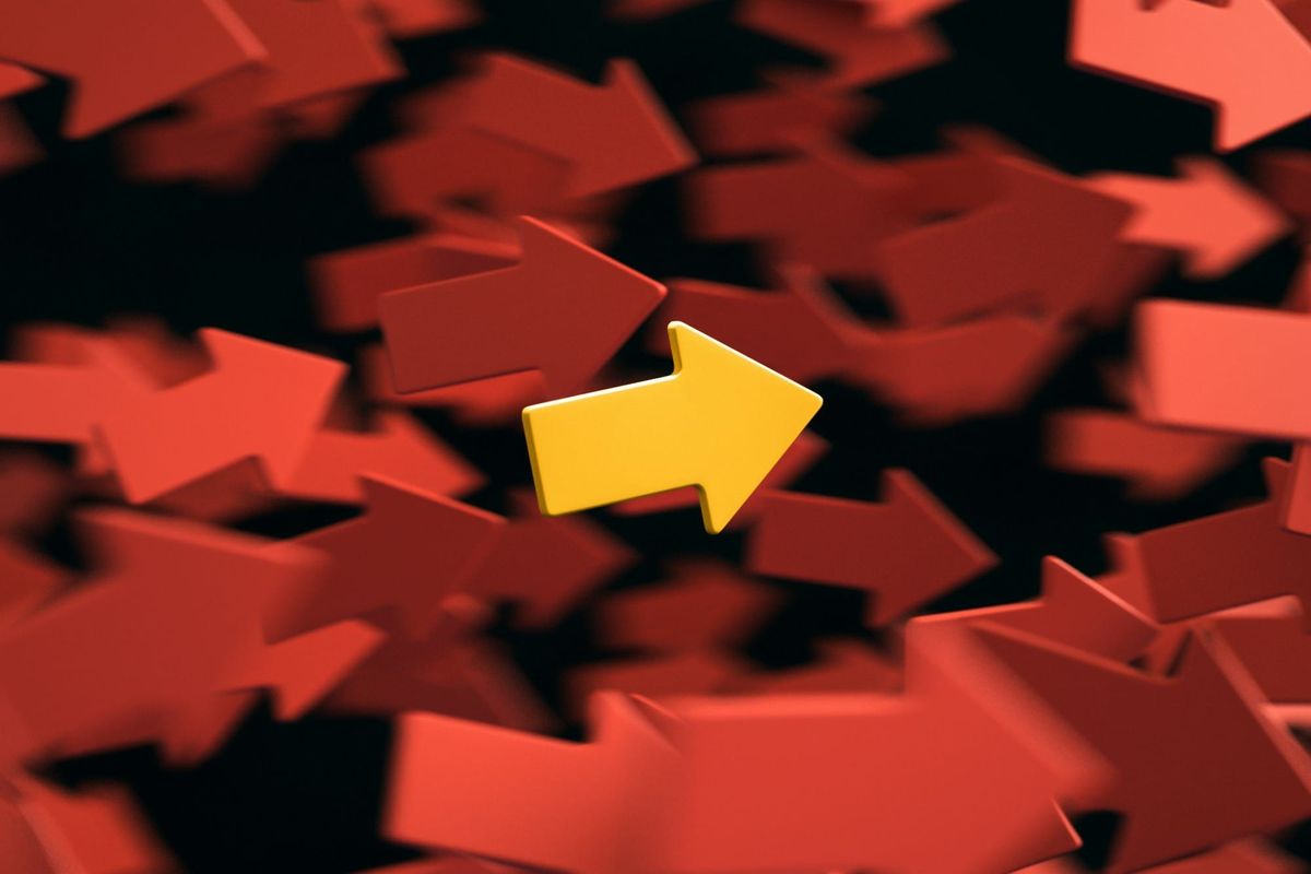 Perplexity Model Council