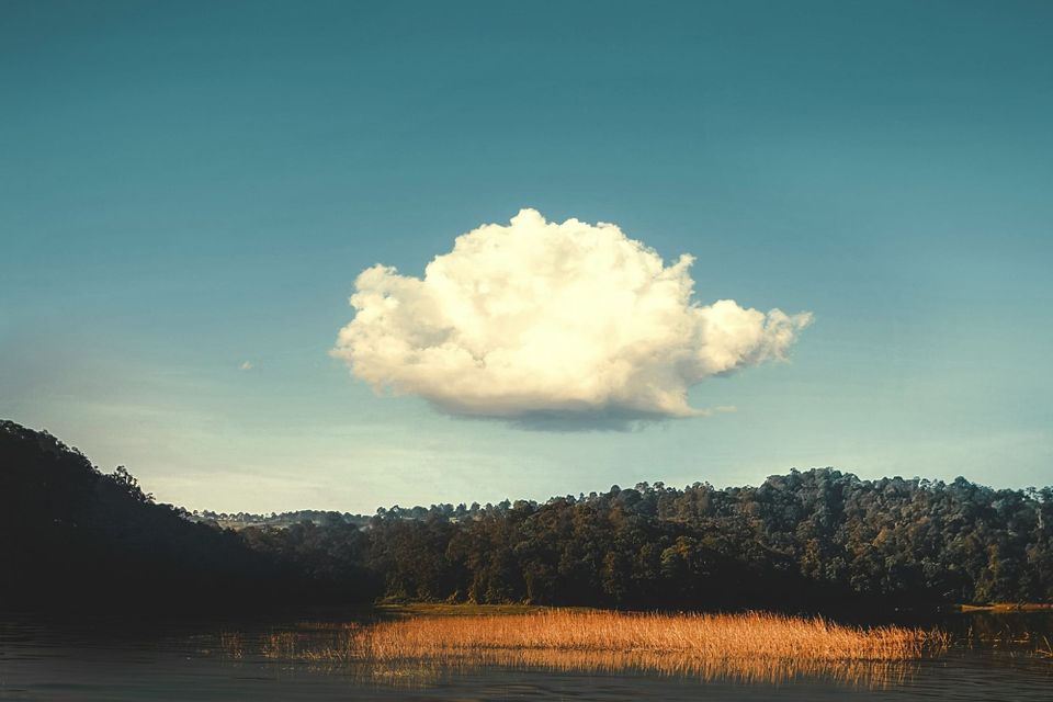 NVIDIA and Google Cloud