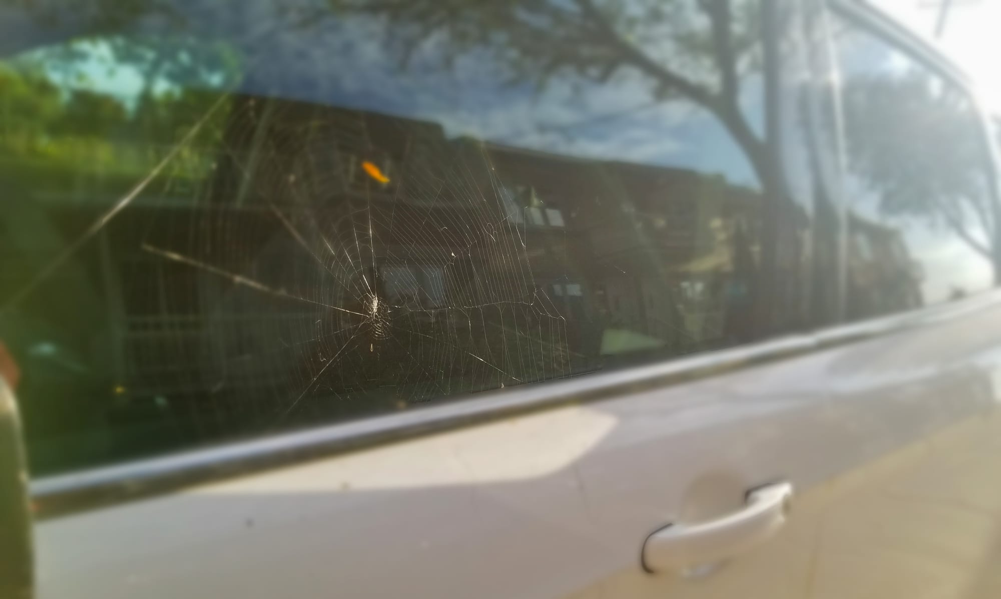 Close-up of a spider web built on a car window, symbolizing the struggle of rebuilding in a toxic environment and the courage to let go.