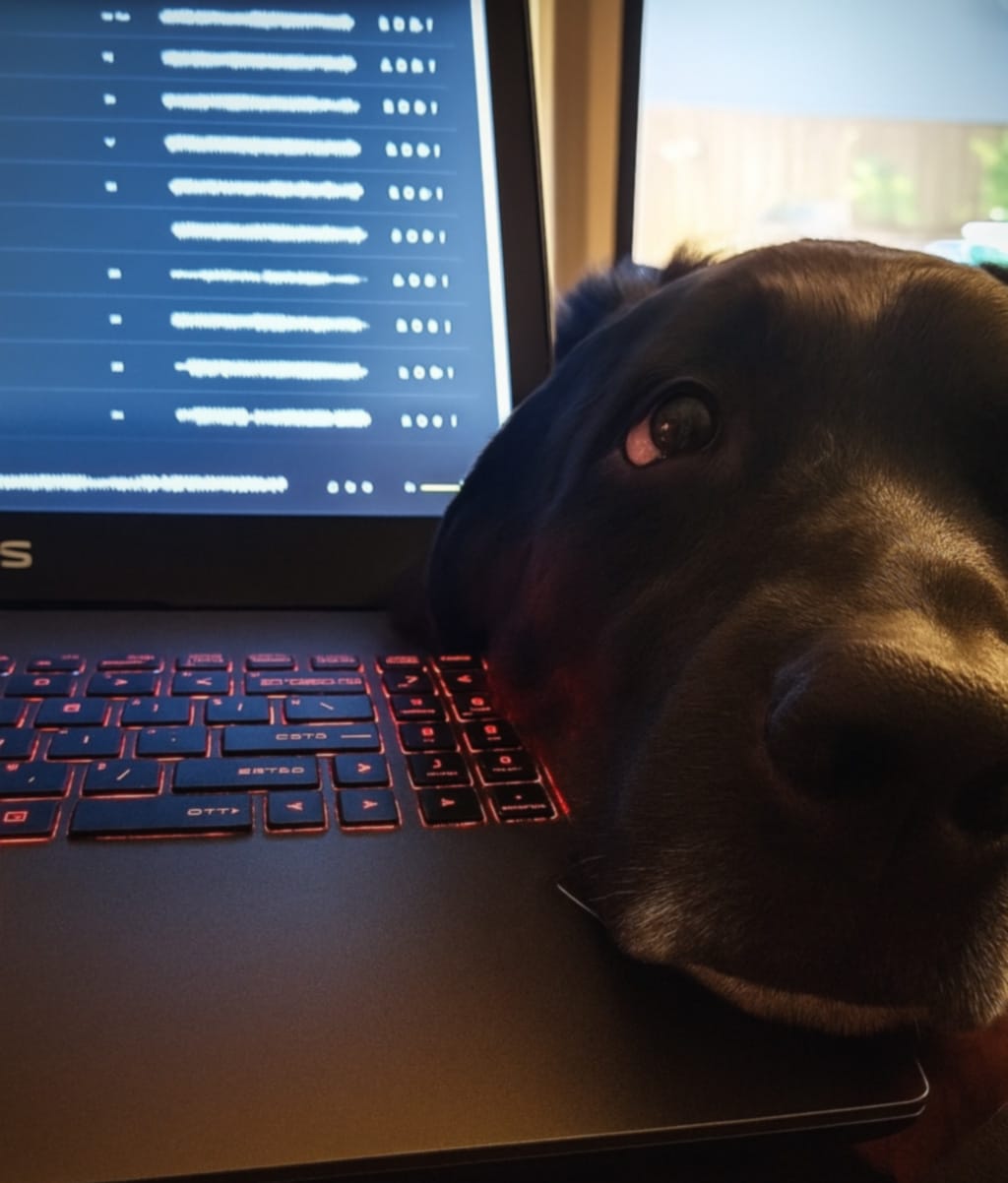 Black lab resting its head on a laptop keyboard, symbolizing exhaustion and reluctance to start.