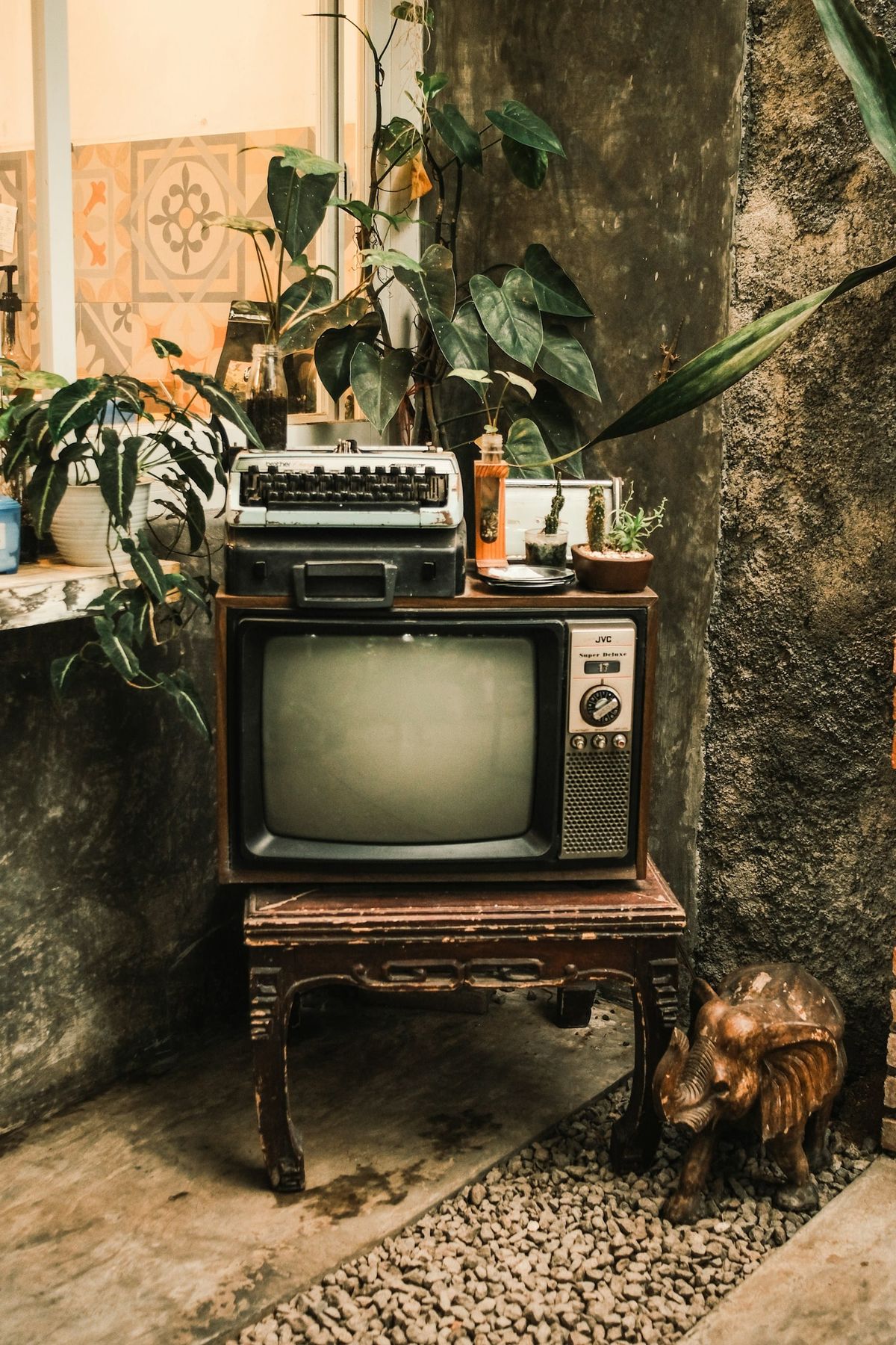Retro TV and typewriter with houseplants, representing analog calm and the joy of doing absolutely nothing.