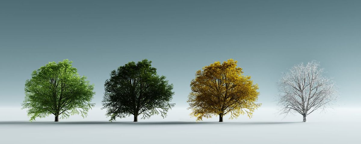 Seasons of Life: Why You're Not Supposed to Have It All Figured Out