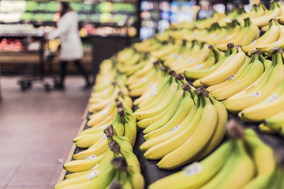 Bananas lined up on a grocery store produce display under bright fluorescent lighting.