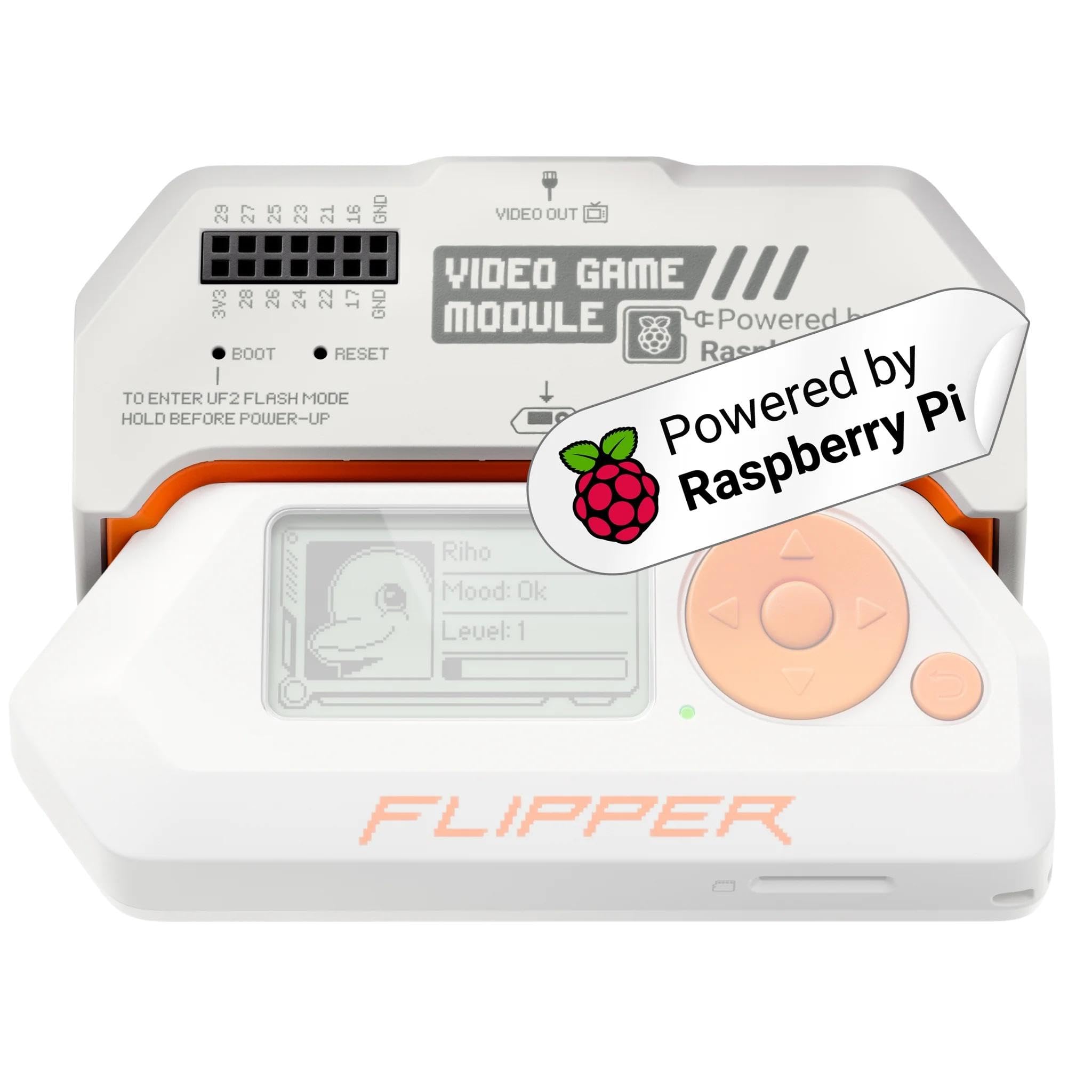 Video Game Module Powered By Raspberry Pi - GPIO Expansion Board For Flipper  Zero: Amazon.co.uk: Computers & Accessories