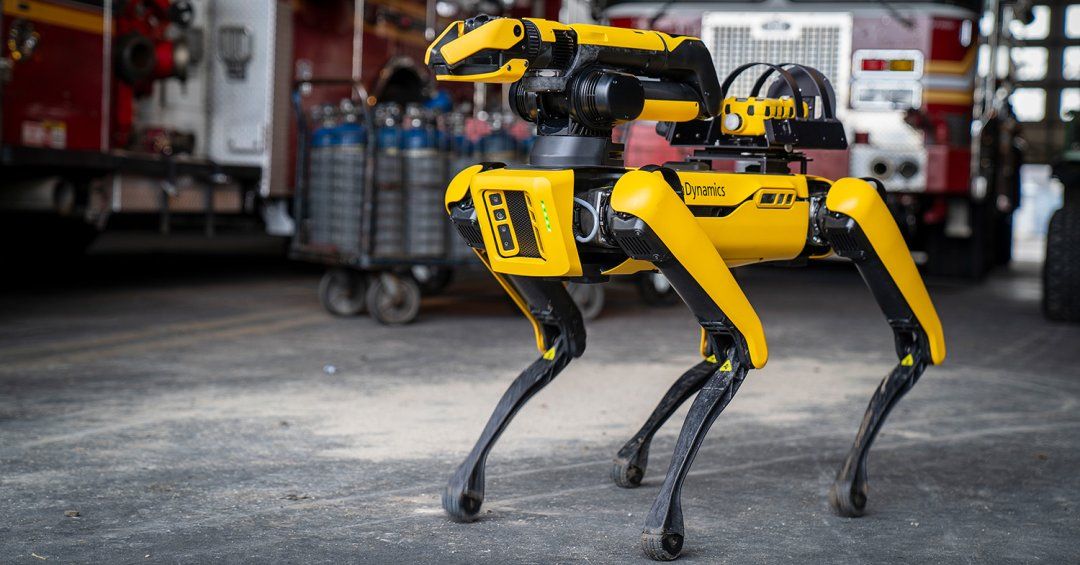 How to Stop a Robot Dog Attack