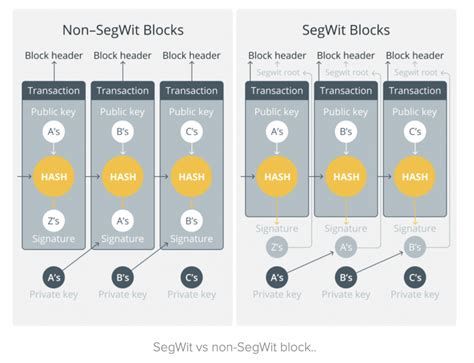What is Segregated Witness (SegWit) in Bitcoin?
