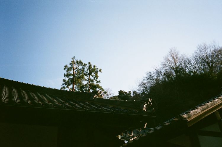 yoyogi + kamakura 3/8-3/12