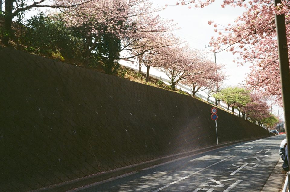 kyoto + miura 2/18-3/2