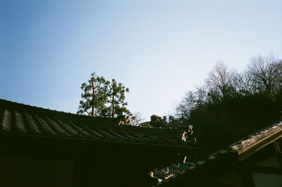 yoyogi + kamakura 3/8-3/12