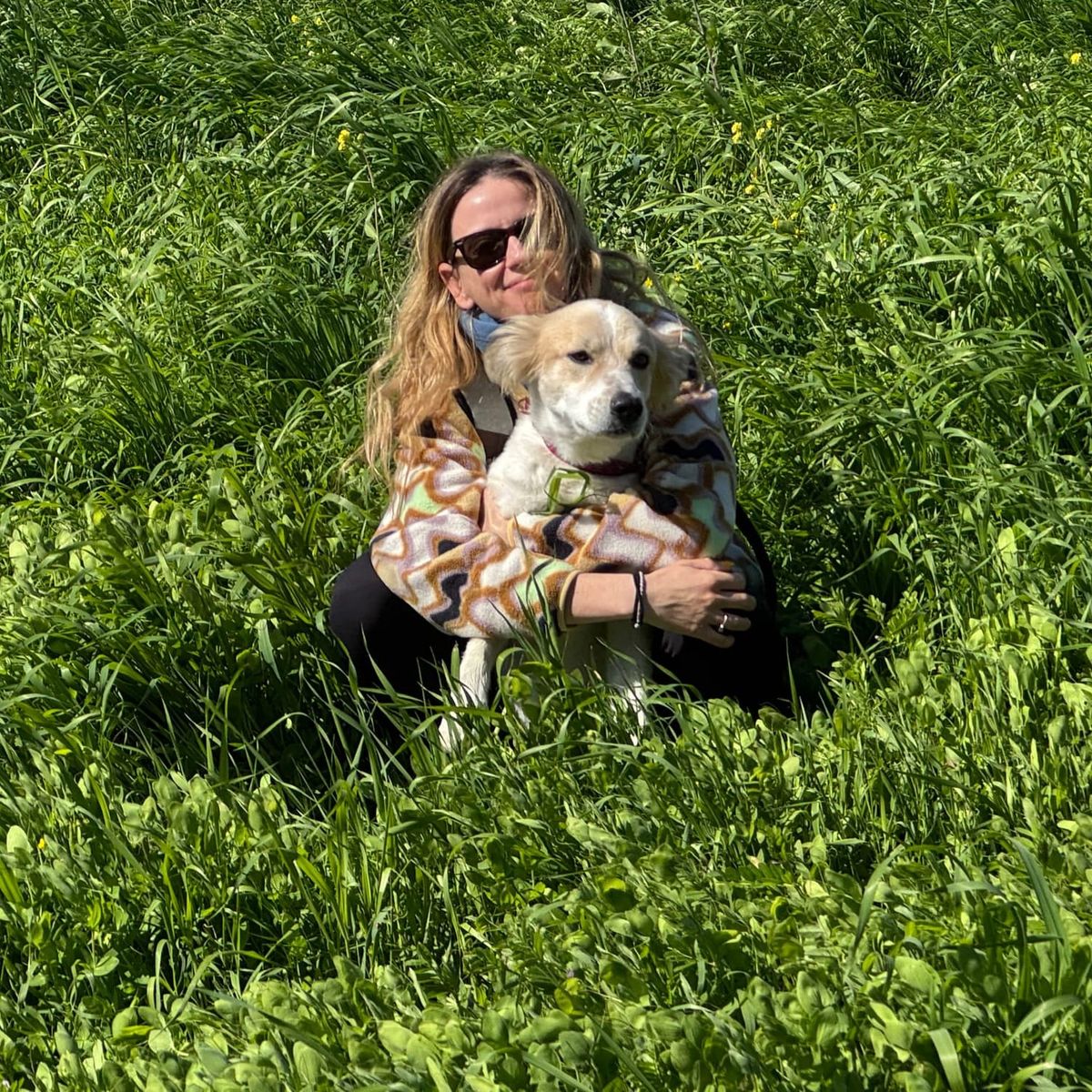 About me and this site