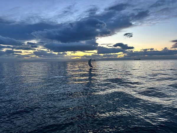 How to Let Your Body Be the Teacher When Life Feels Overwhelming