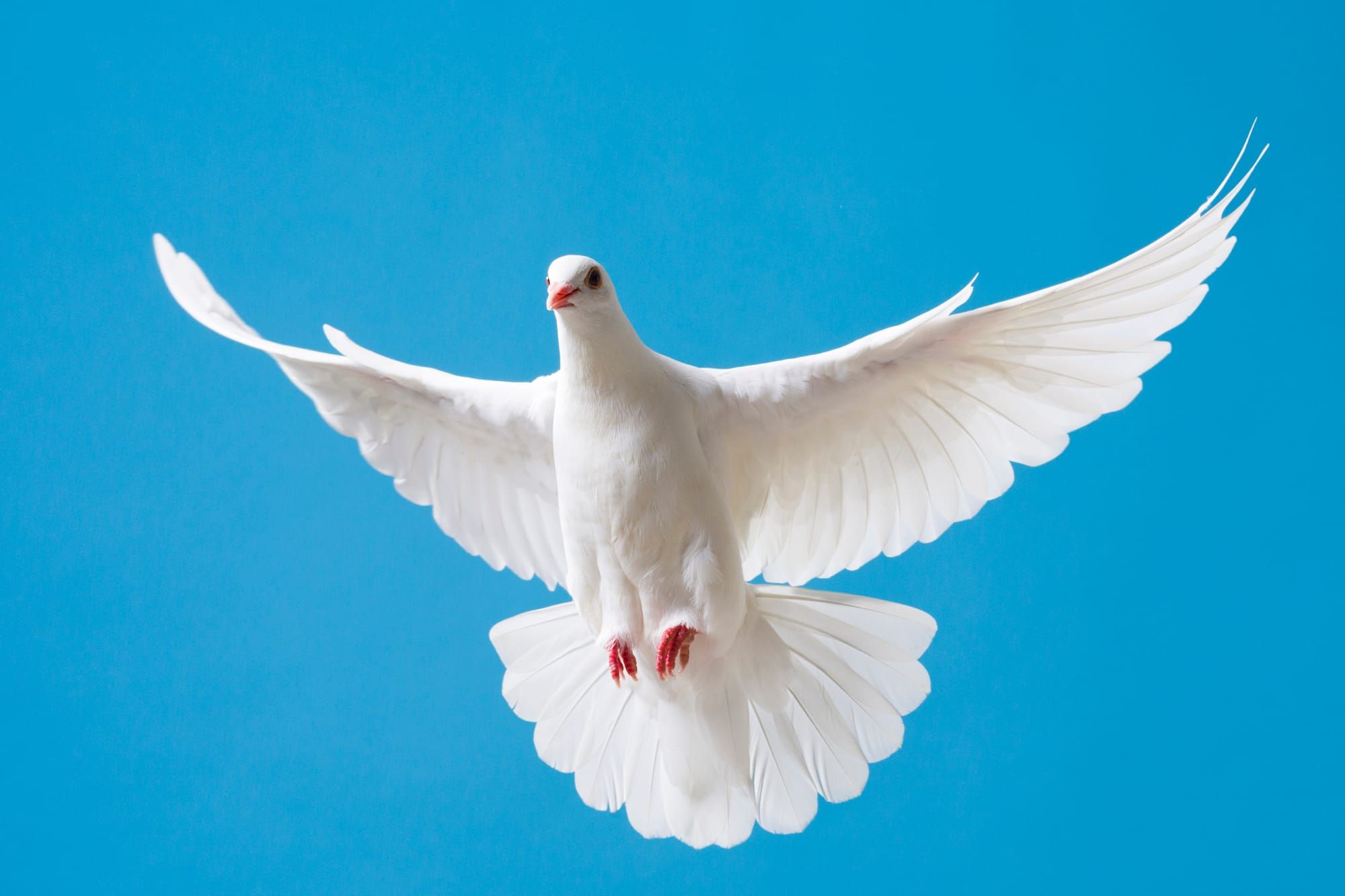 Contemplation 5: The ethical life