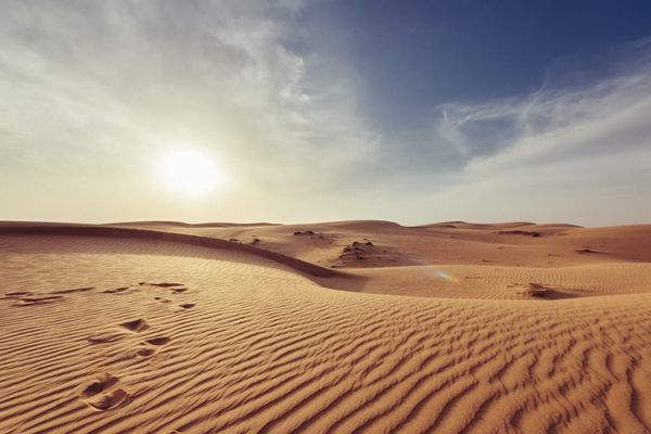 The wisdom of the desert
