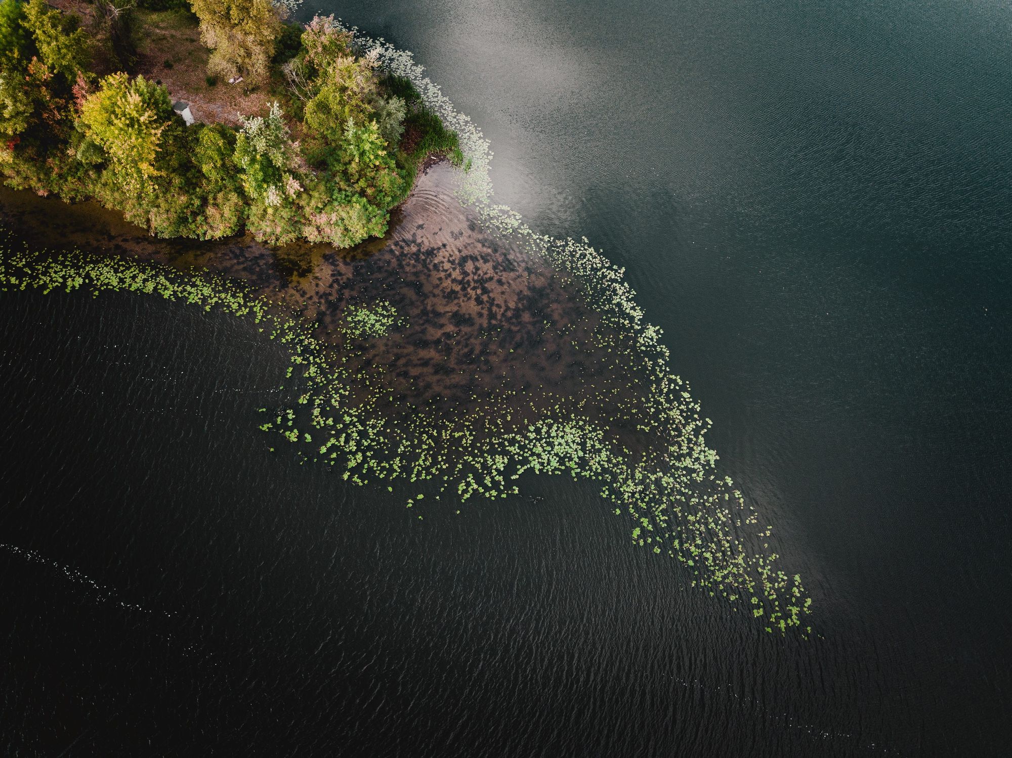 Piece of land surrounded by water. A good example of a natural ecosystem & boundaries.