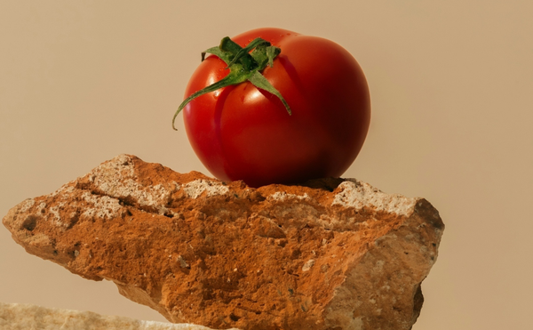 Welcome to the Artstaurant Era