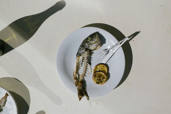 The Trap of Nutritional Efficiency