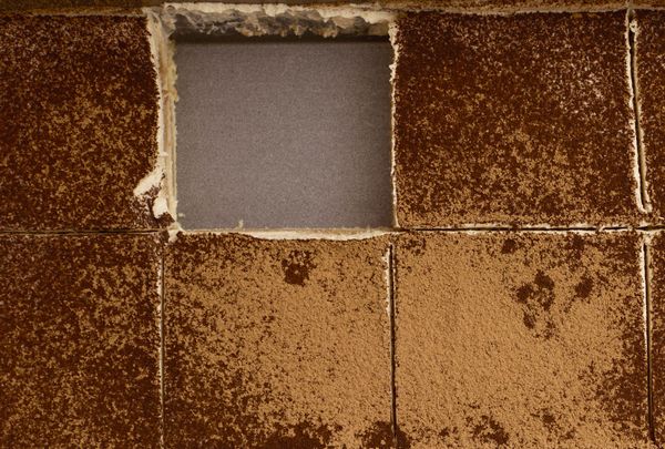 Tanya Bush Would Abolish Buttercream