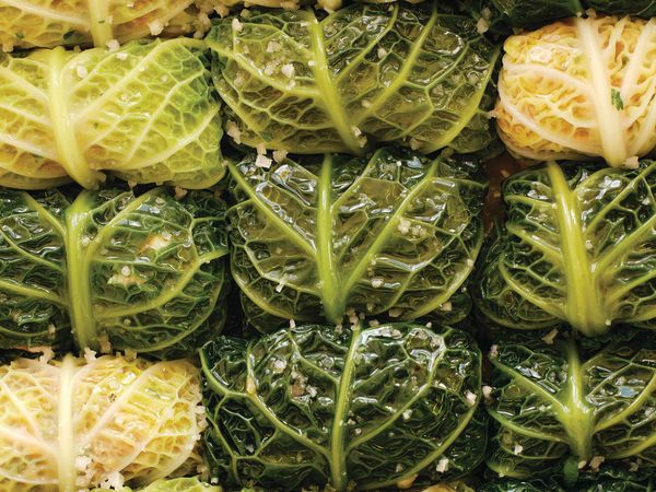 Mélanie Masarin Dreams of Stuffed Cabbage