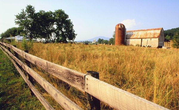 A Bleak Time for American Farmers
