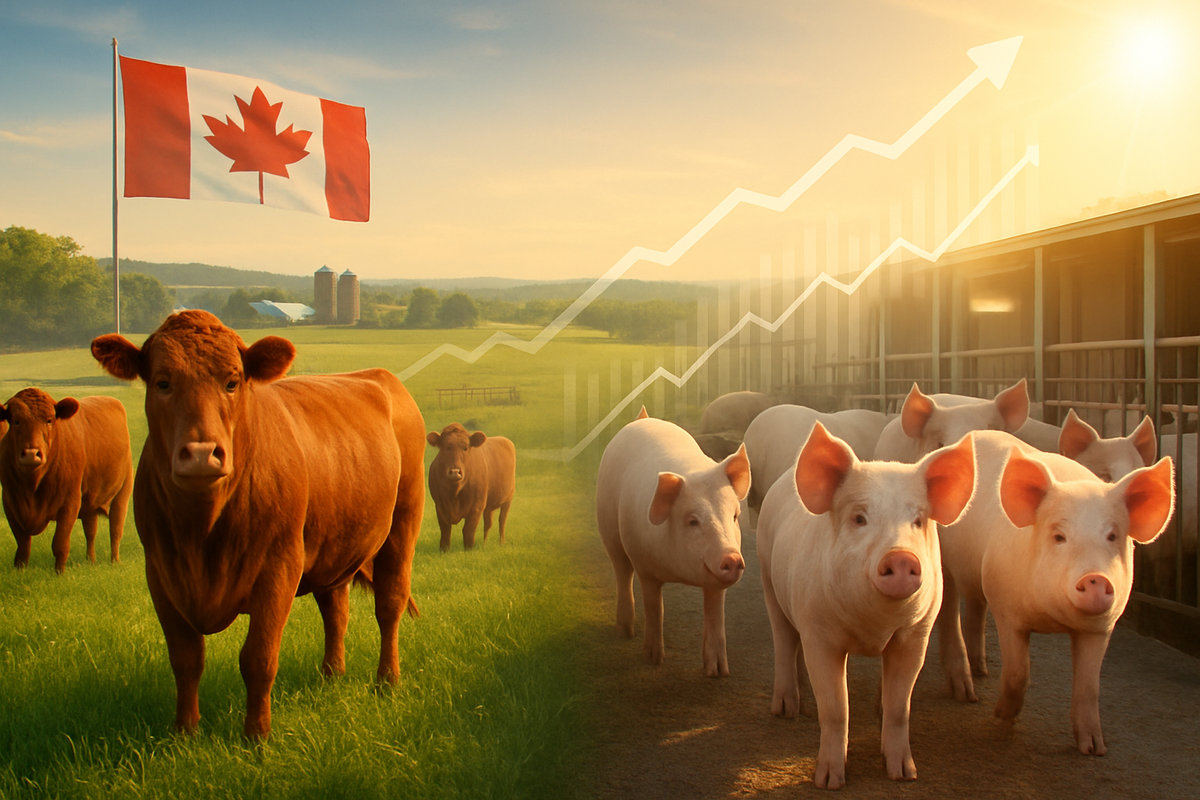 Canadian Livestock Sector Roars Ahead, Driving Agricultural Growth Amidst Shifting Tides