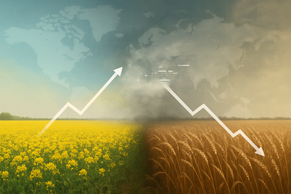 Commodity Markets See Mixed Fortunes on October 7th: Canola Rises as Wheat Slumps Amid Global Oversupply and Data Vacuum