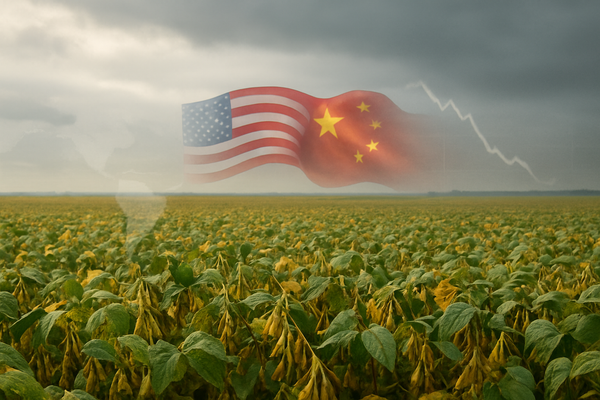 Soybean Futures Shrug Off U.S.-China Trade Deal: Was Optimism Already Spent?
