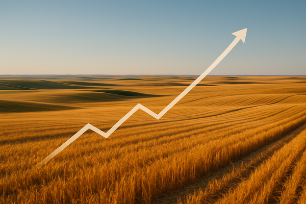 Prairie Farmland Values Soar Amidst Commodity Price Dip: A Paradoxical Market Reshaping Agriculture