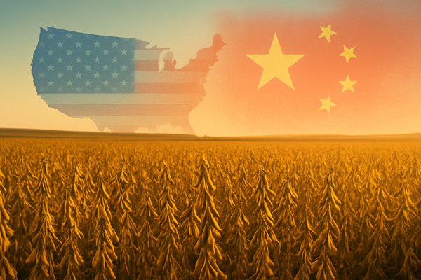 China's Soybean Gambit: A Pre-Trade Talk Olive Branch or Strategic Maneuver?