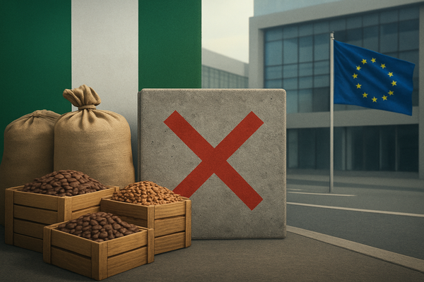 Europe's Quality Blockade: A Looming Crisis for Nigerian Exports