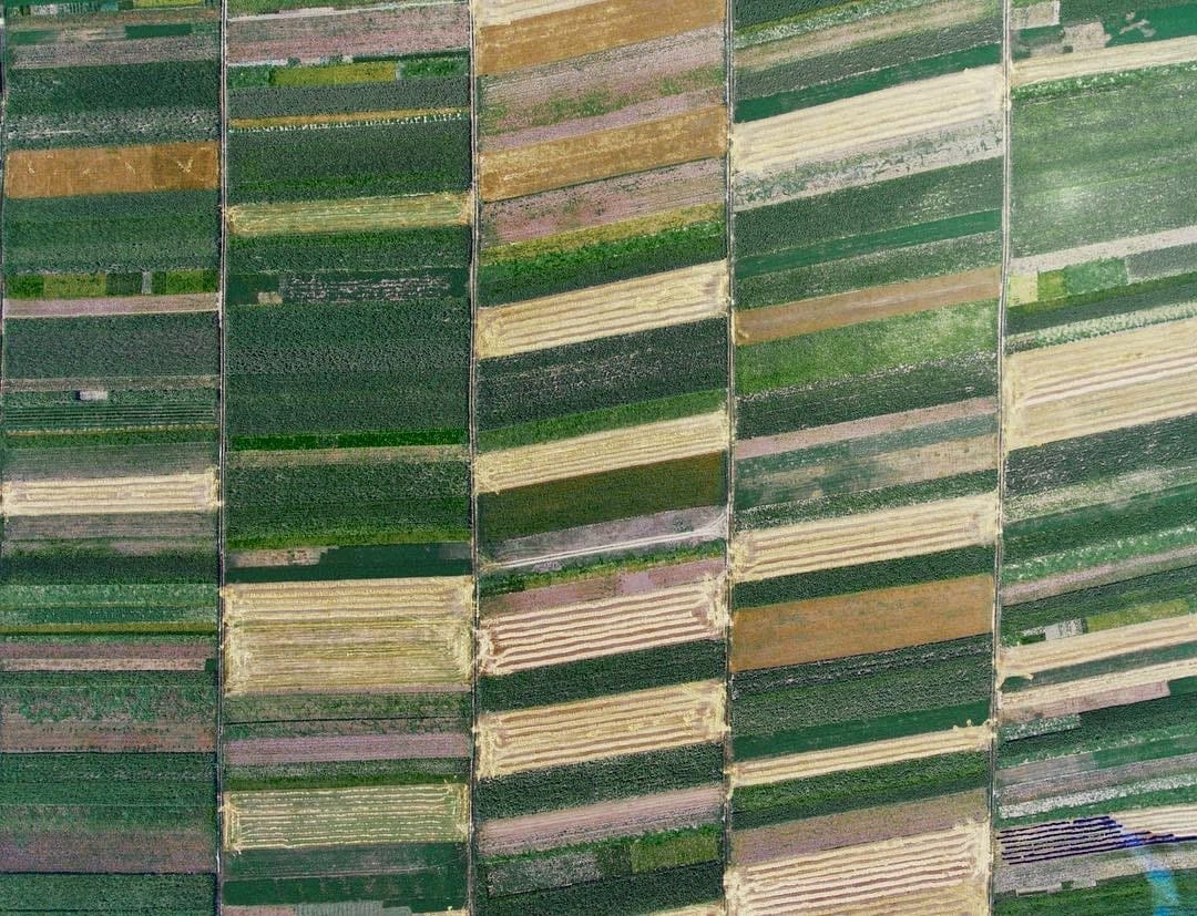 Farm fields in Ukraine