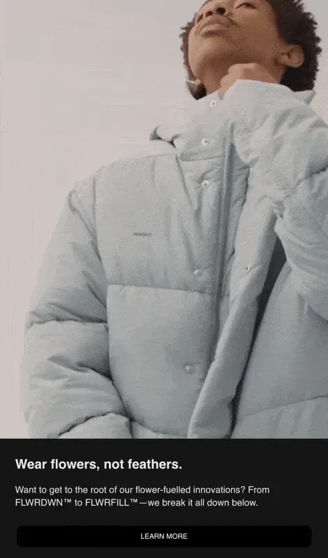 Animated GIF from a Pangaia newsletter