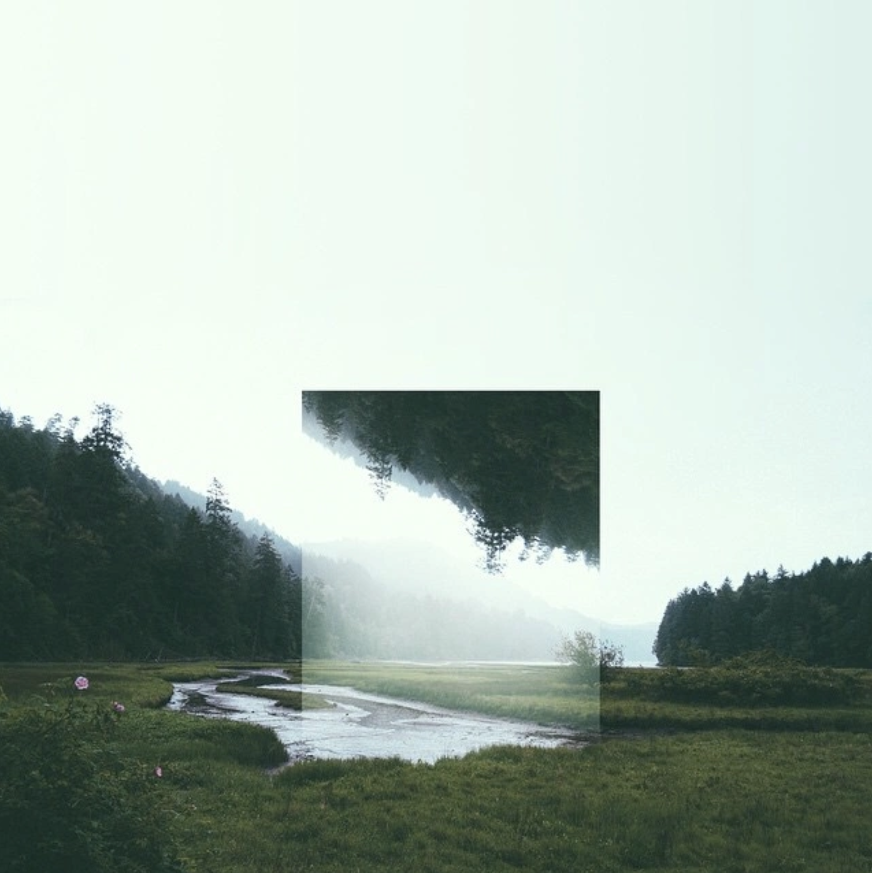 "Manipulation," collage by Victoria Siemer: the weight of interface wording on conversion